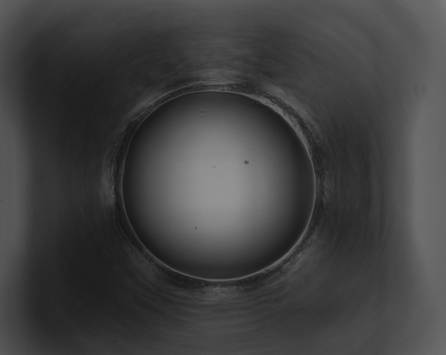 X0000100891451200806241221