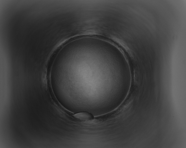 X0000100891452200806241221