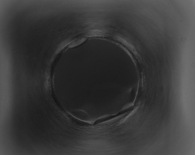 X0000100891453200806241221