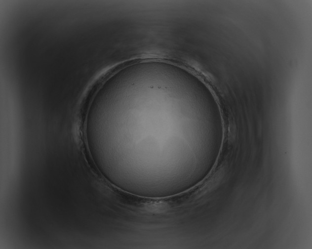 X0000100891454200806241221