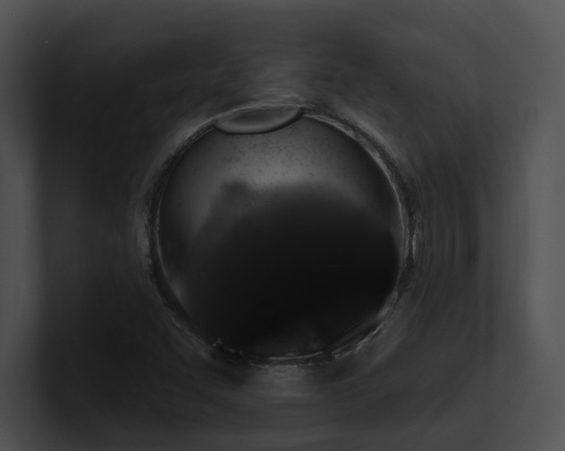 X0000100891455200806241221