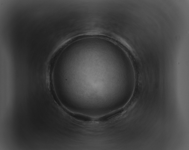 X0000100891456200806241221