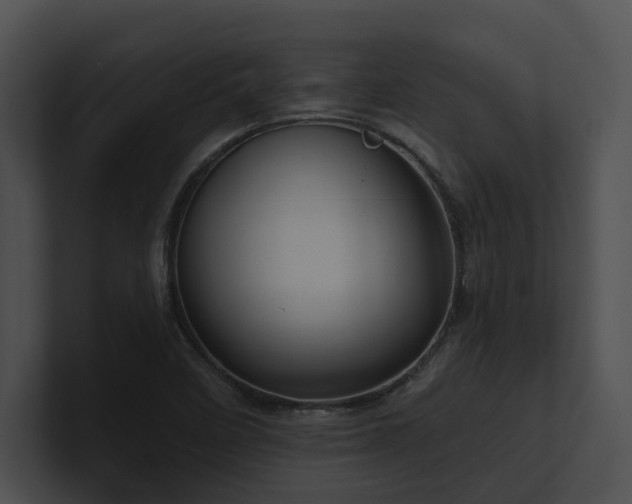 X0000100891458200806241221