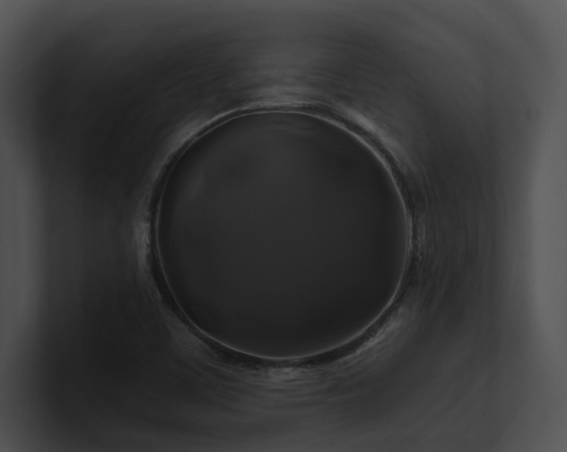X0000100891459200806241221