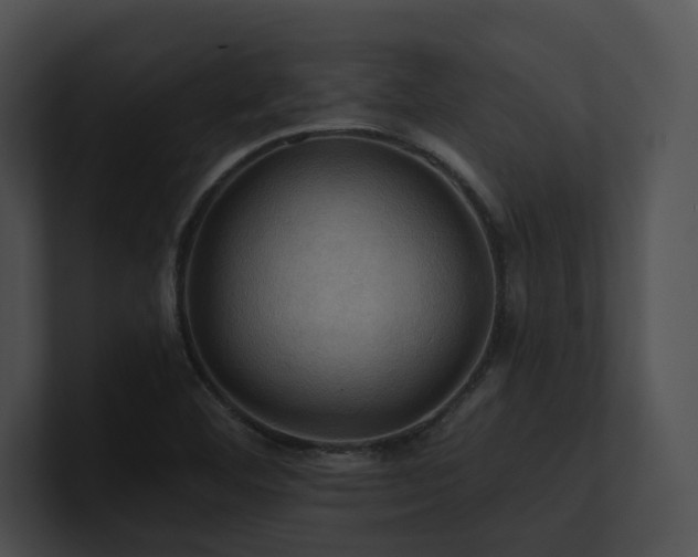 X0000100891460200806241221