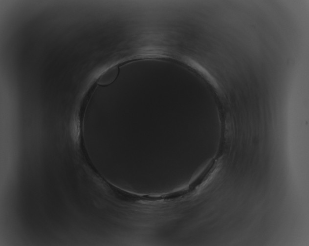 X0000100891461200806241221