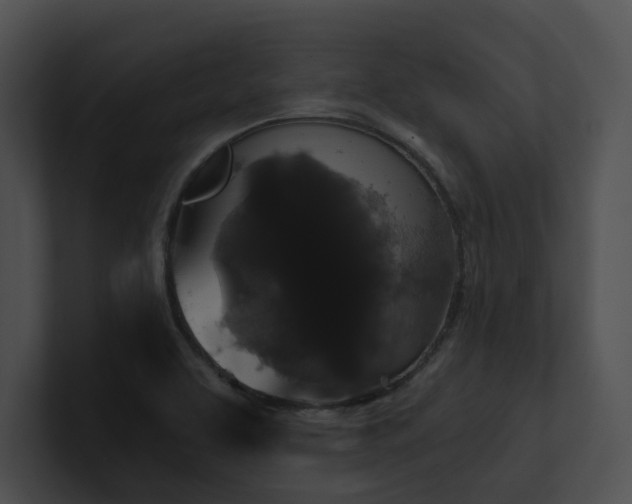 X0000100891463200806241221