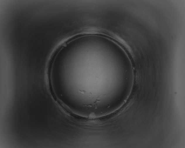 X0000100891464200806241221