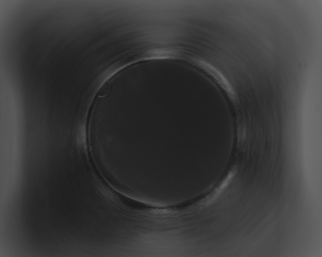 X0000100891465200806241221