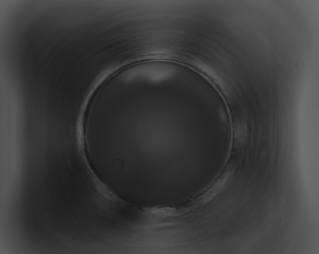 X0000100891466200806241221