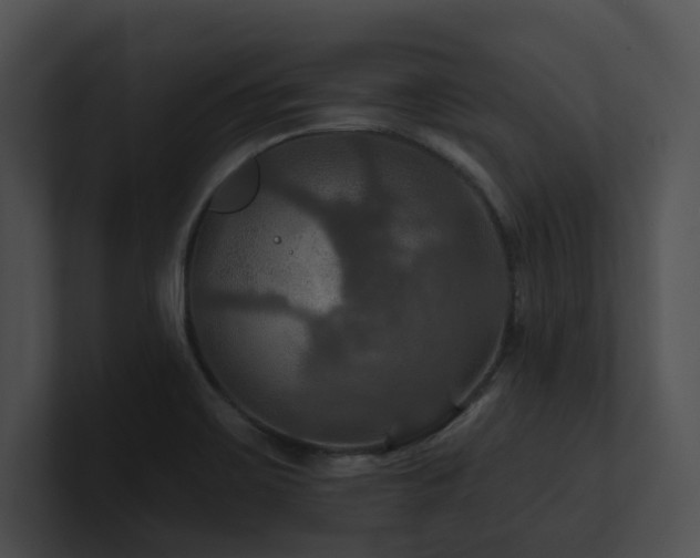 X0000100891467200806241221