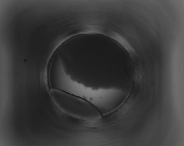 X0000100891468200806241221