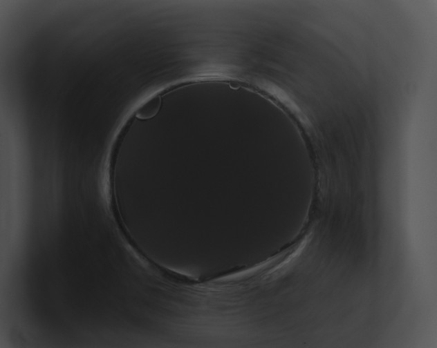 X0000100891469200806241221