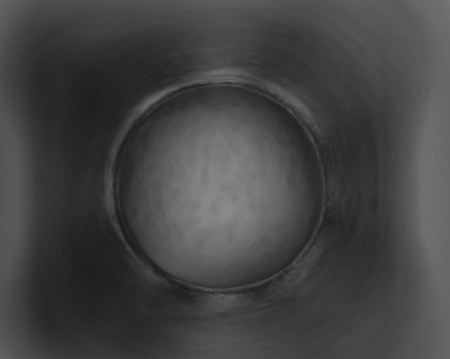 X0000100891470200806241221