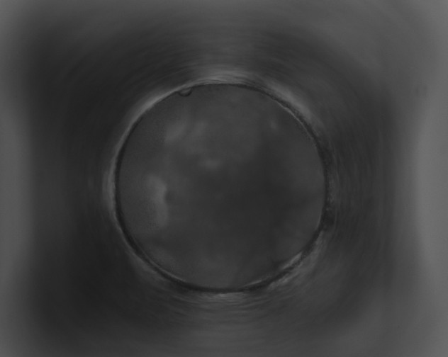 X0000100891471200806241221