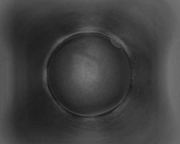X0000100891472200806241221