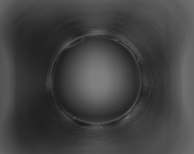X0000100891473200806241221