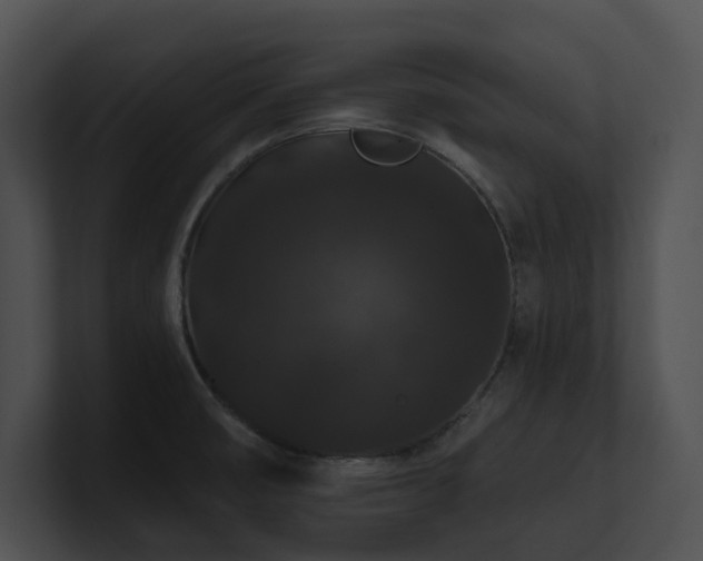 X0000100891474200806241221
