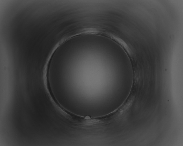 X0000100891475200806241221
