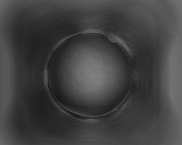 X0000100891476200806241221