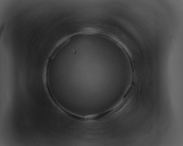 X0000100891477200806241221