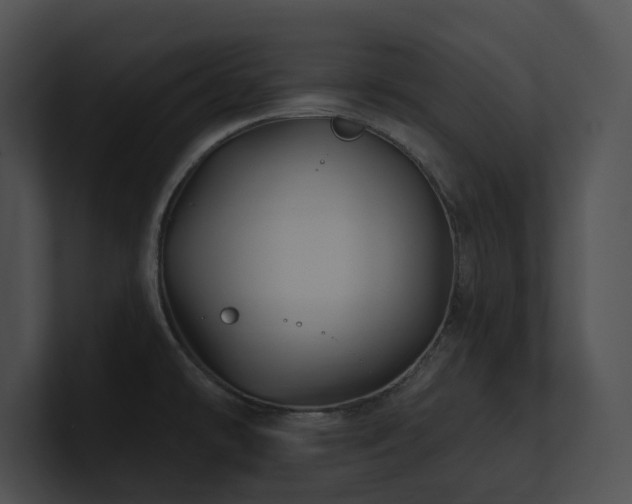 X0000100891478200806241221