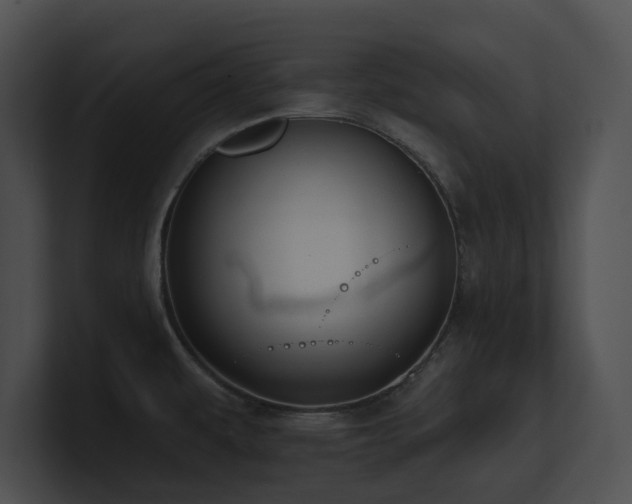 X0000100891479200806241221