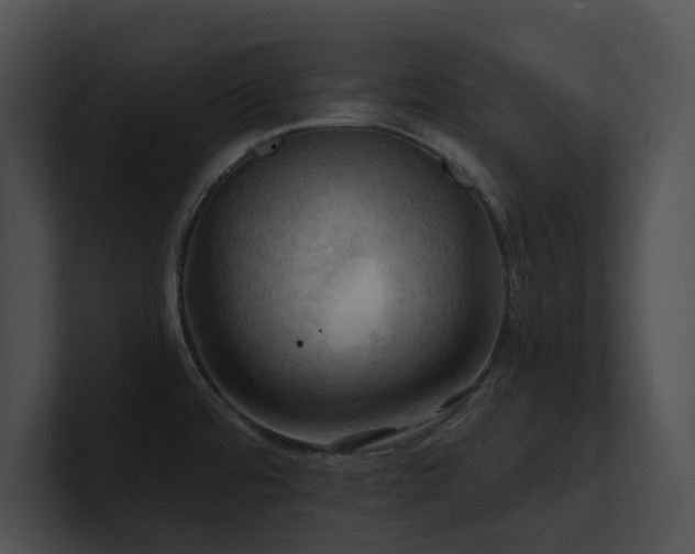 X0000100891480200806241221