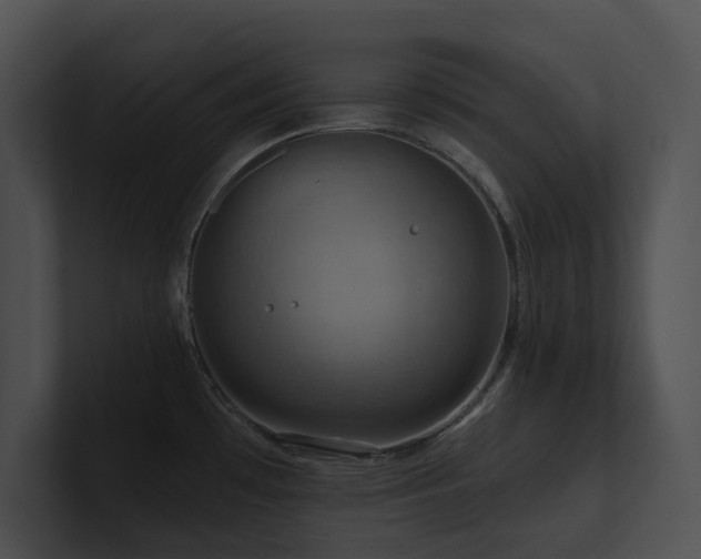 X0000100891481200806241221