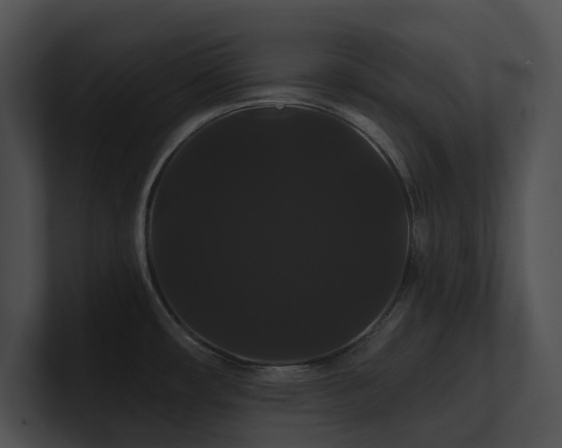 X0000100891482200806241221