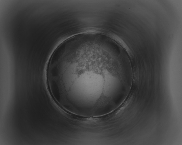 X0000100891483200806241221