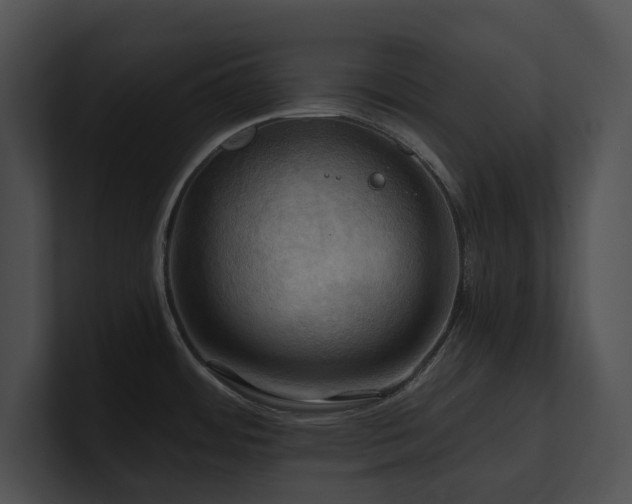 X0000100891484200806241221