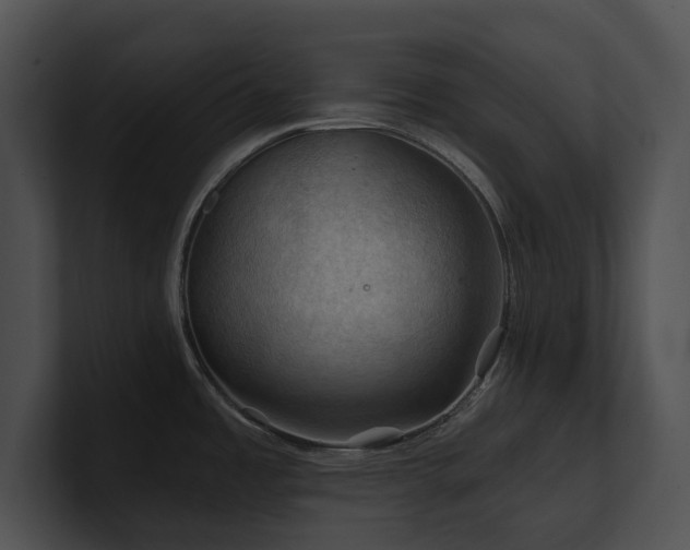 X0000100891485200806241221