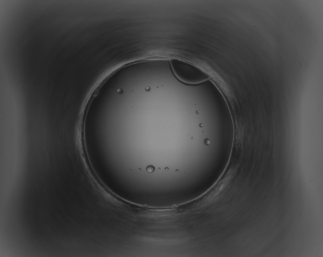 X0000100891486200806241221