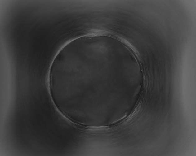 X0000100891487200806241221