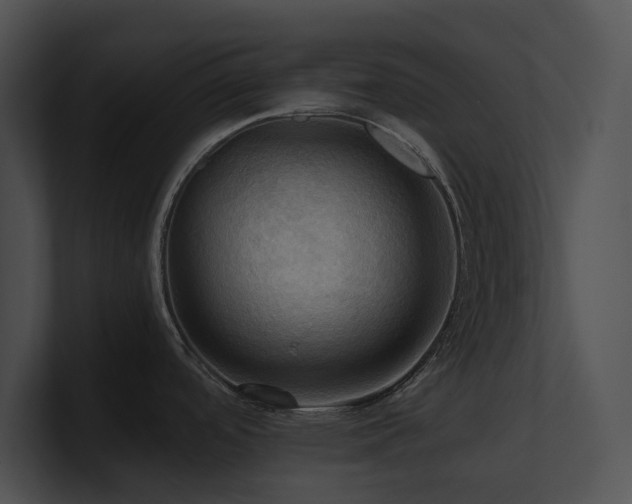 X0000100891488200806241221