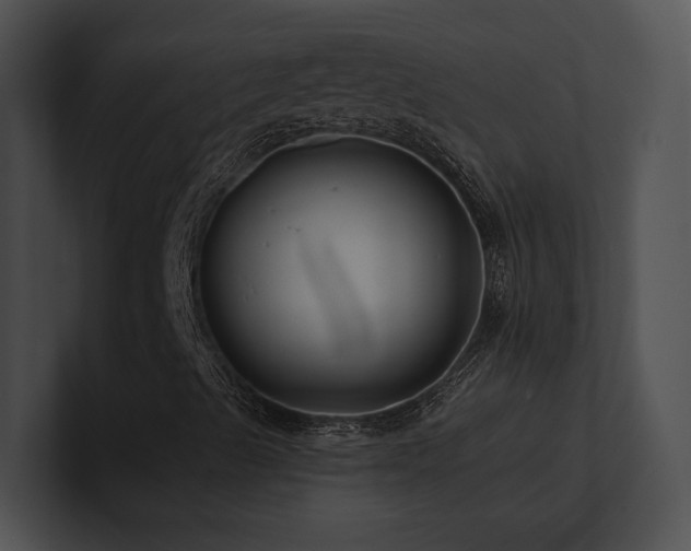 X0000100891489200806241220