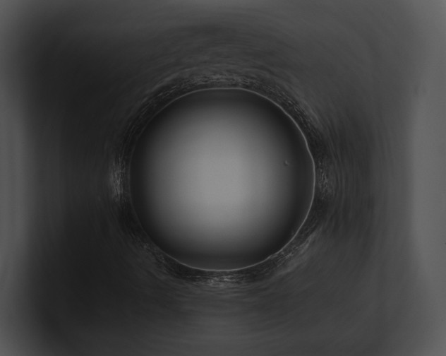 X0000100891490200806241220