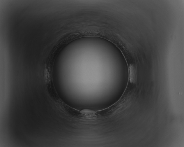 X0000100891491200806241220