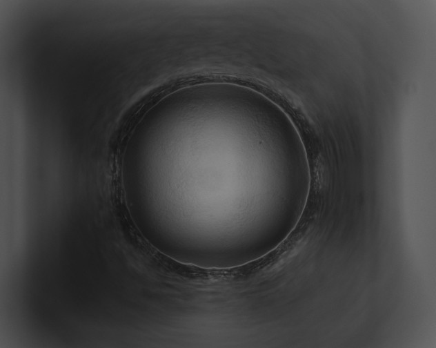X0000100891494200806241220