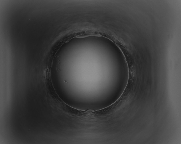 X0000100891495200806241220