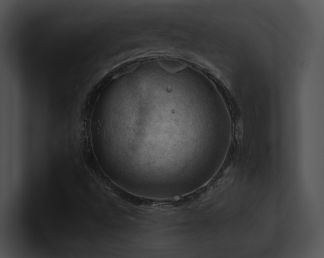 X0000100891496200806241220