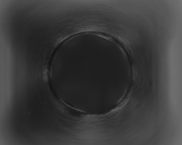 X0000100891497200806241220