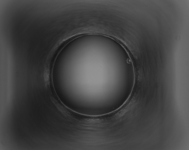 X0000100891499200806241220