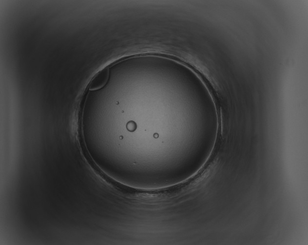 X0000100891500200806241220
