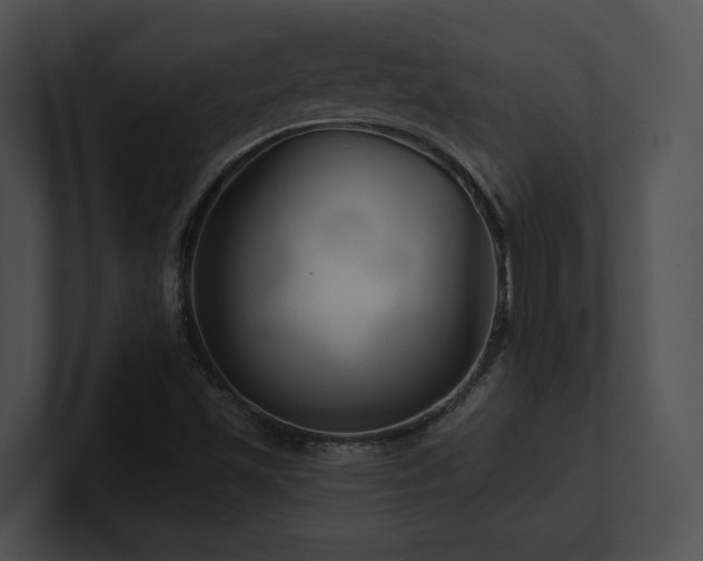 X0000100891501200806241220