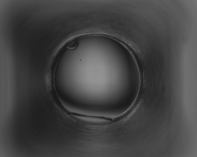 X0000100891502200806241220