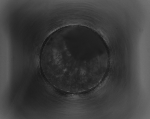 X0000100891505200806241220