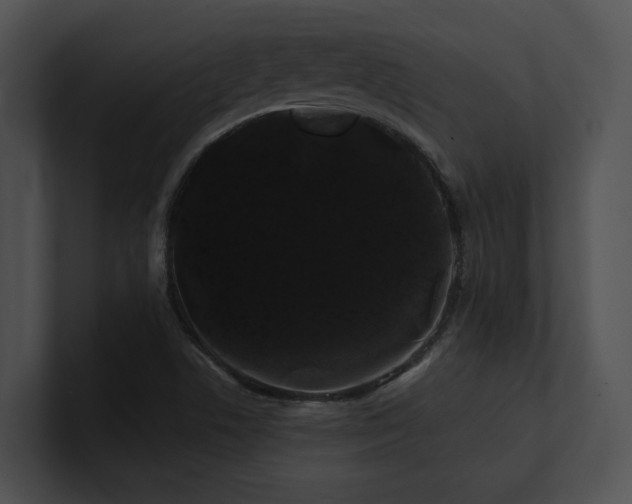 X0000100891506200806241221