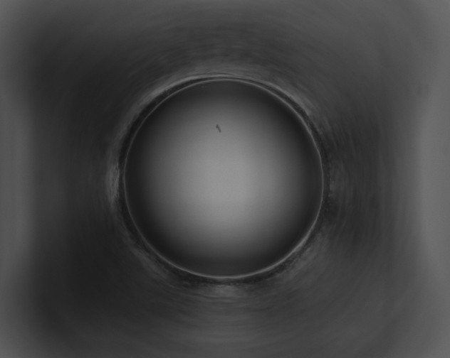 X0000100891507200806241221